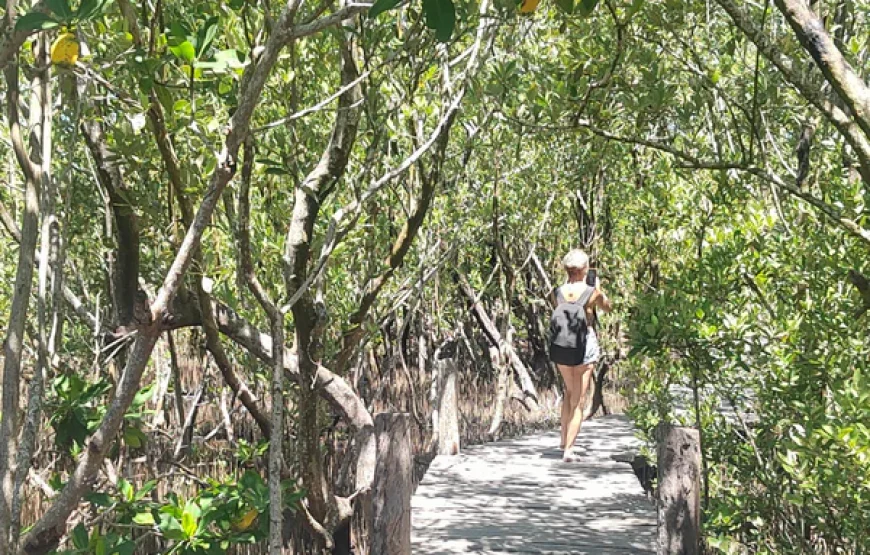 Contoy / Isla Mujeres