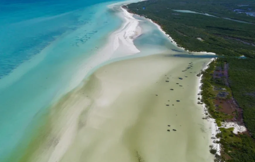 Holbox